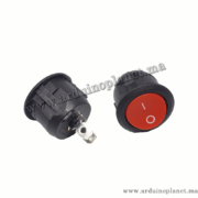 Interrupteur ON/OFF 2 Broches 6A 250V