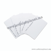 Carte RFID EM4100, TK4100 125KHz