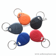 Badge Rfid EM4100 TK4100 125Khz