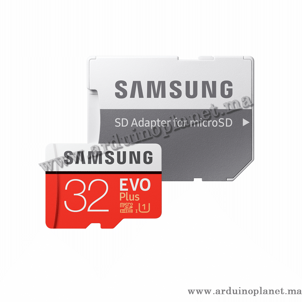 Carte mémoire 32Go Classe 10